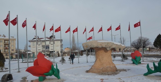 Gülşehir Belediyesi, Türk Bayraklarını yeniliyor