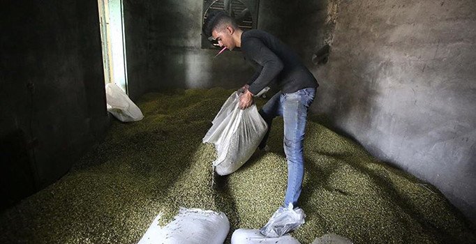 Batılı ülkelerden İsrail'in Filistin'e uyguladığı ihracat engeline karşı hamle