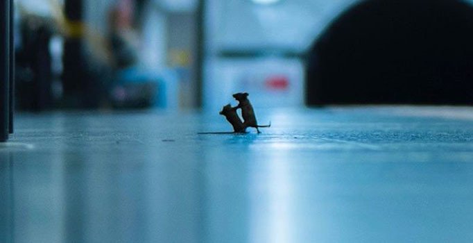 Londra metrosunun "İstasyon Kavgası" ödül kazandırdı