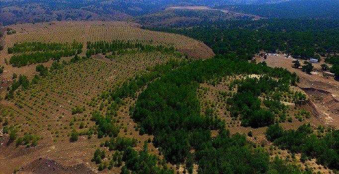 491 maden sahası ihaleye açıldı