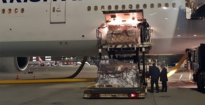 Anadolu'dan yurt dışına kaçırılan iki tarihi eser Türkiye'ye getirildi