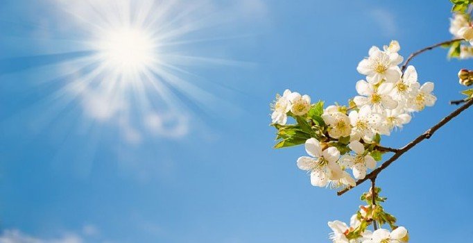 İlk cemre ne zaman düşecek? İlk cemre nereye düşecek?