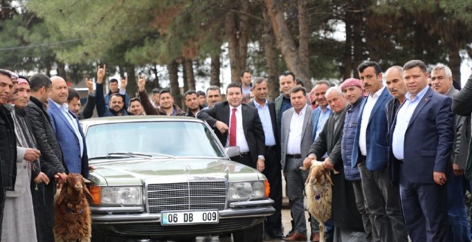 Bahçeli'nin hediye ettiği klasik otomobil için kurban kesti