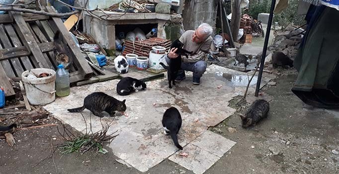 Emekli maaşıyla 5 yıldır sokak kedilerini besliyor