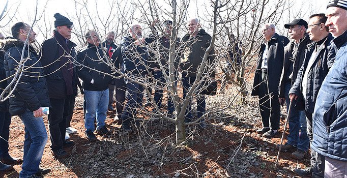 Tepebaşı Belediyesinden uygulamalı budama eğitimi