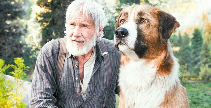 Bu dostluk vahşi dünyayı dize getirir