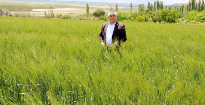 Çiftçiyi kuraklığın ardından bambul böceği vurdu