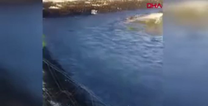 'Fabrikanın atık havuzundan sızan yağ!