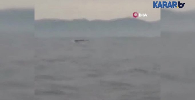 Yunanistan’a kaçmak isteyen göçmenler böyle yakalandı