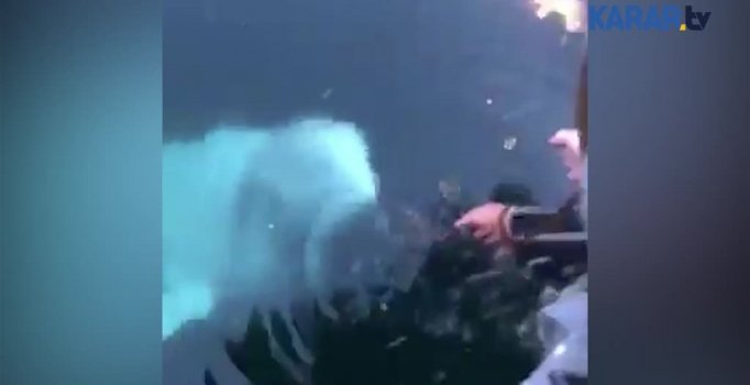 Balina, suya düşen telefonu kurtardı