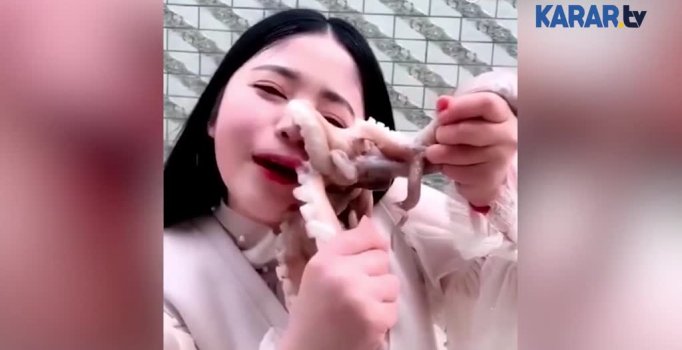 Yemeye çalıştığı ahtapot yüzüne yapıştı