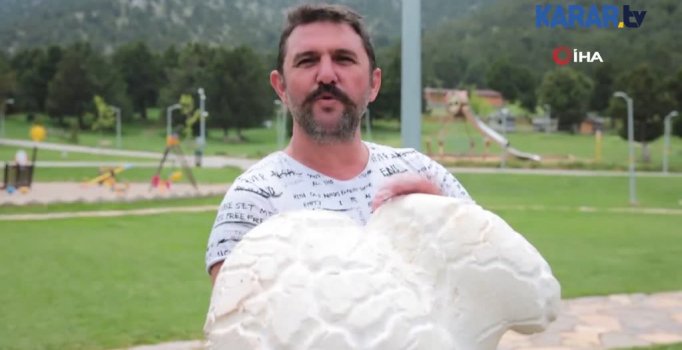 7 kiloluk dev mantar şaşırttı