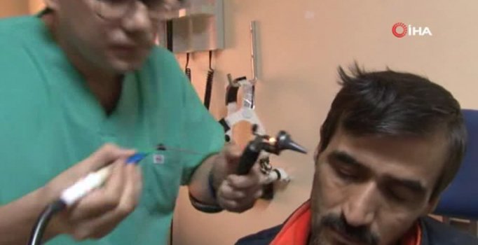 Kaşınıyor dediği kulağından sinek larvaları çıktı