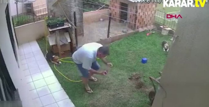 Böcekleri öldürmek isterken havaya uçurdu