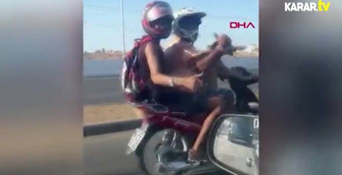 Motosiklet süren köpek kamerada