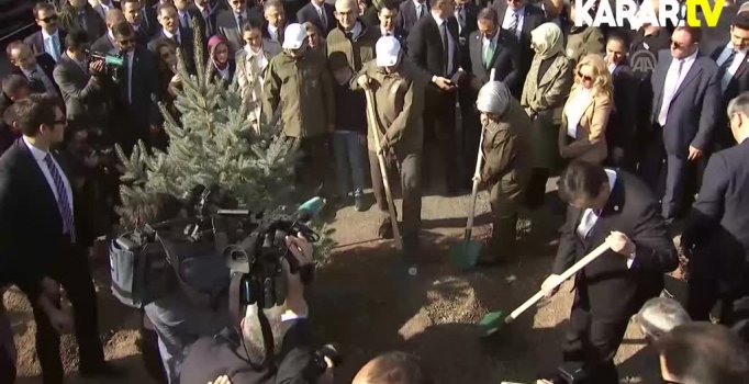 Cumhurbaşkanı da fidan dikerek destek oldu