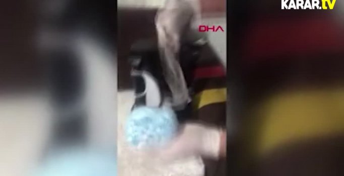 Başakşehir'de 2 ayrı uyuşturucu baskını