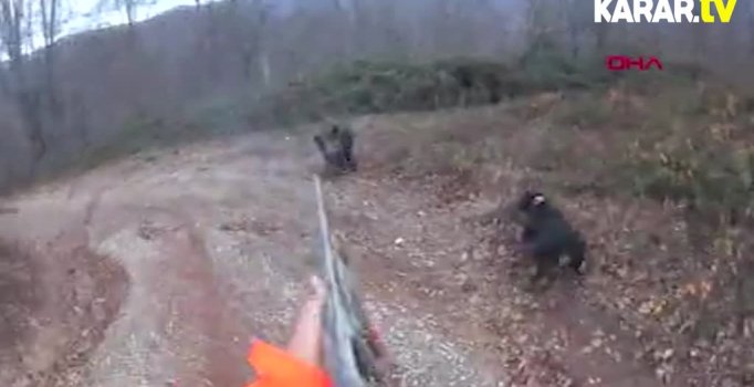 Domuz saldırısını anbean kaydetti