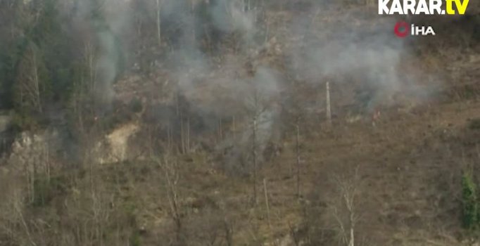 Karadeniz'de 71 noktada orman yangını