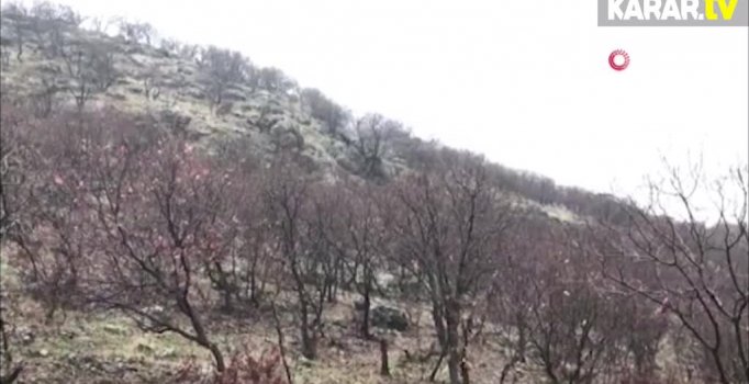 KAPAN-1 BAGOK" operasyonu başlatıldı