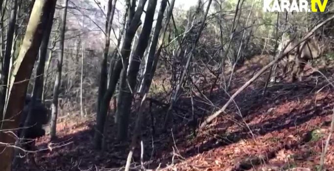 Amanoslar'da PKK'ya 'Kapan' kıskacı