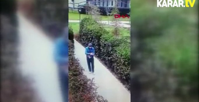 Kediyi yerden yere vurdu!