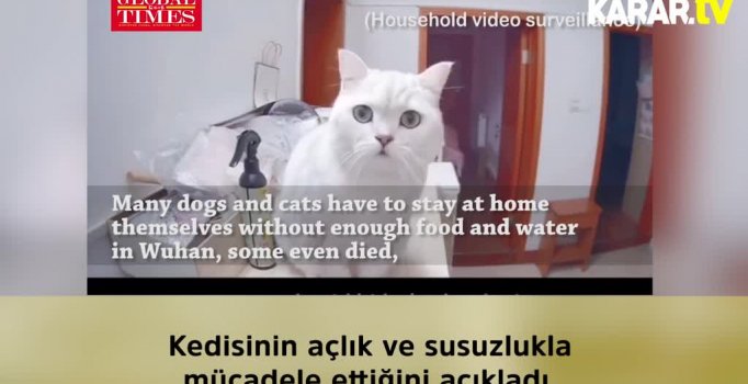 Korona virüs salgını hayvanları da vurdu