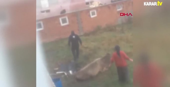 İnsanlıktan nasibini almamış