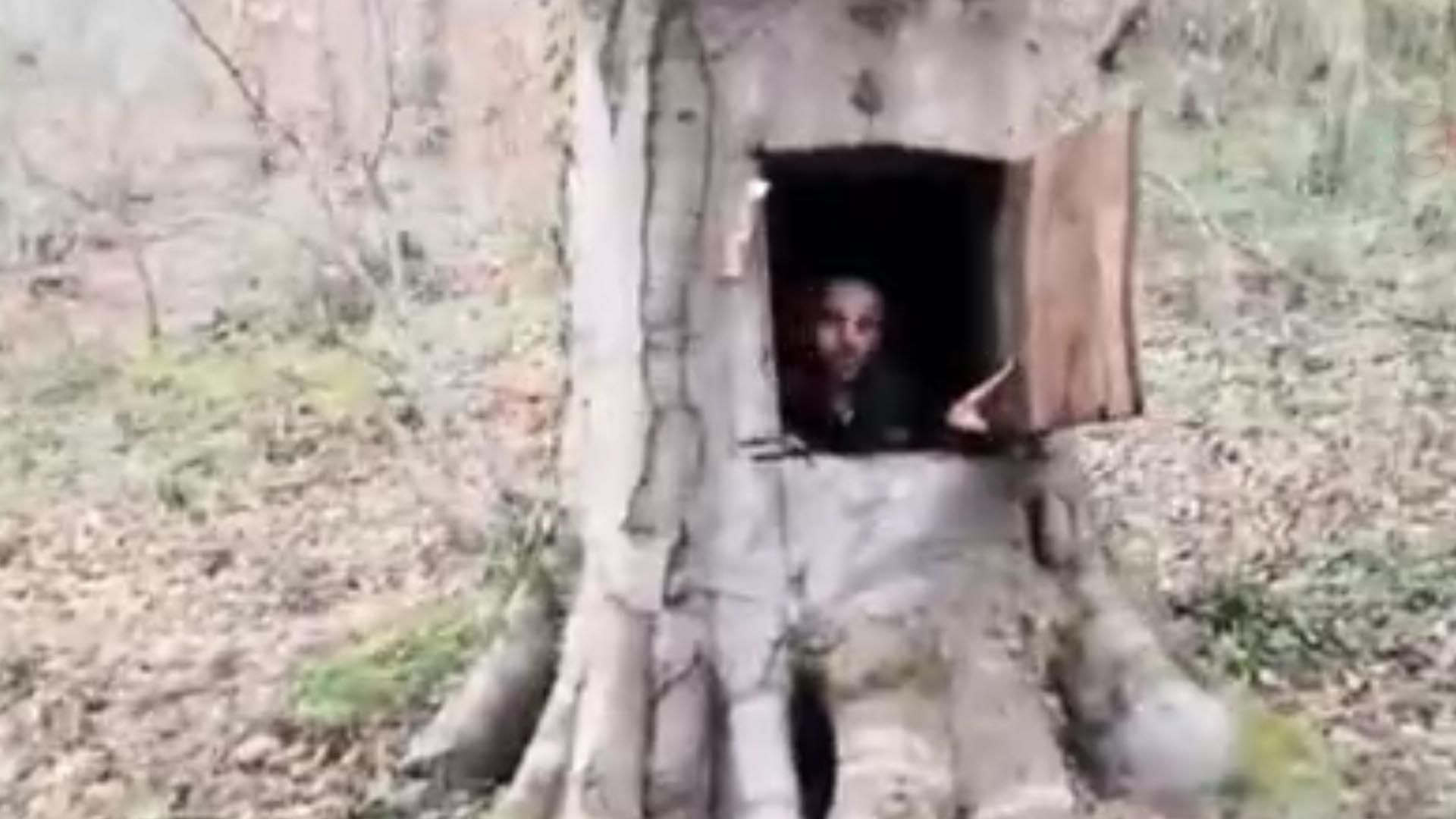 Koronavirüsten korunmak için ağacın içine gizlendi