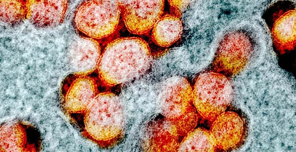 Bilim insanlarından korkutan koronavirüs uyarısı: Temmuz'a kadar kontrolü imkansız