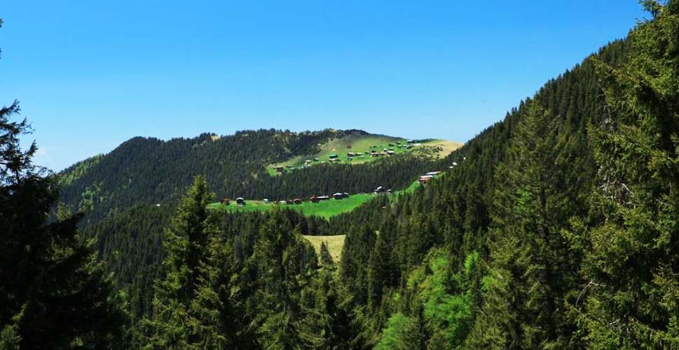 Rize'de acele kamulaştırma kararı