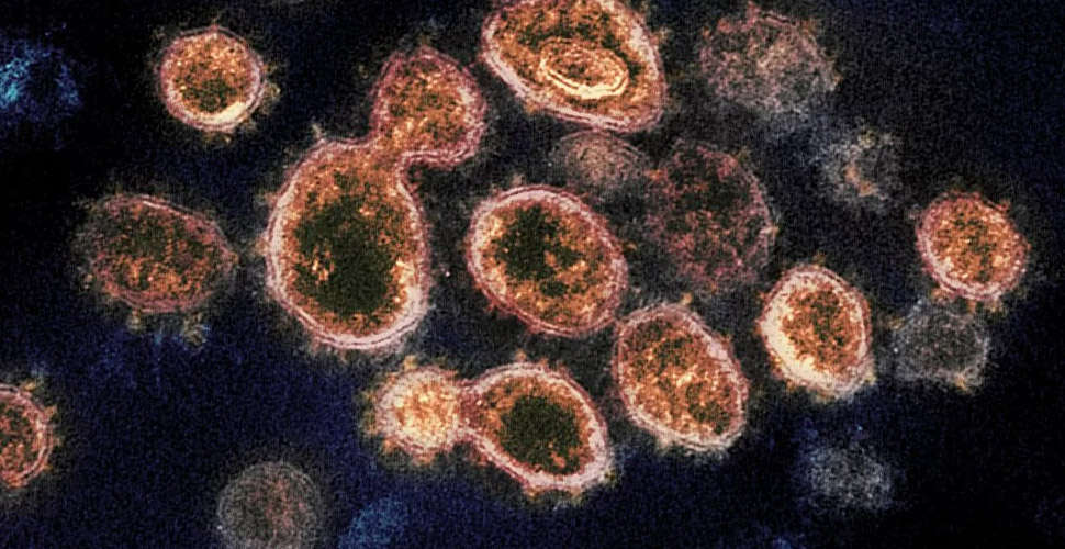 Koronavirüsün geçirdiği mutasyonlardaki tehlike: Ya aşıyı alt edemeyecek ya da aşı işe yaramayacak