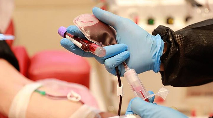 Plazma bağışı nasıl ve nereye yapılır? İmmün plazma tedavisi nedir?