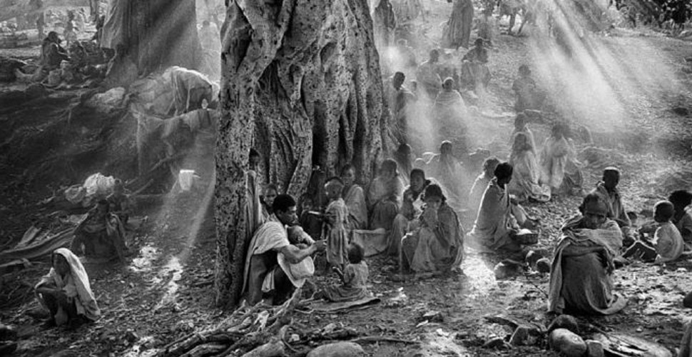 'Toprağın Tuzu' belgeseli online erişime açıldı