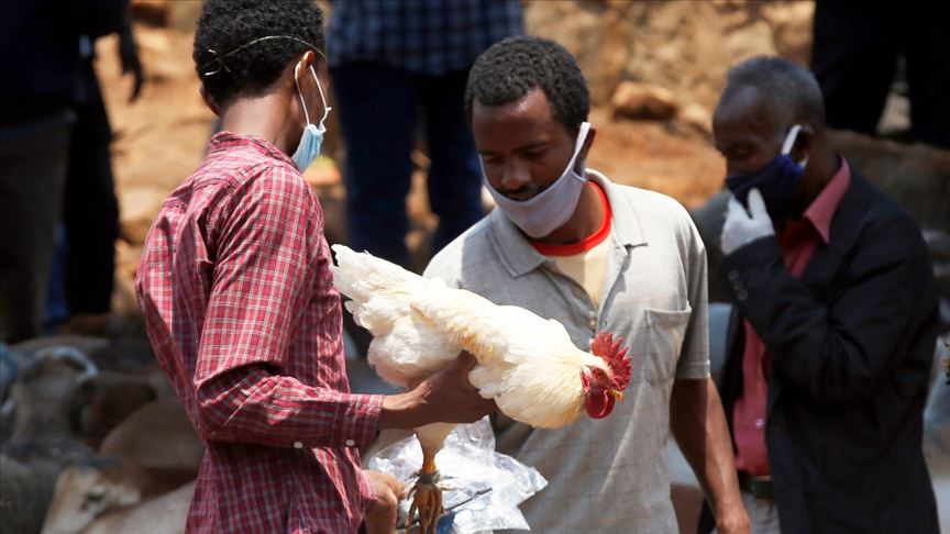 DSÖ'den bu kez Etiyopya'ya uyarı: Sarı humma salgını endişe verici