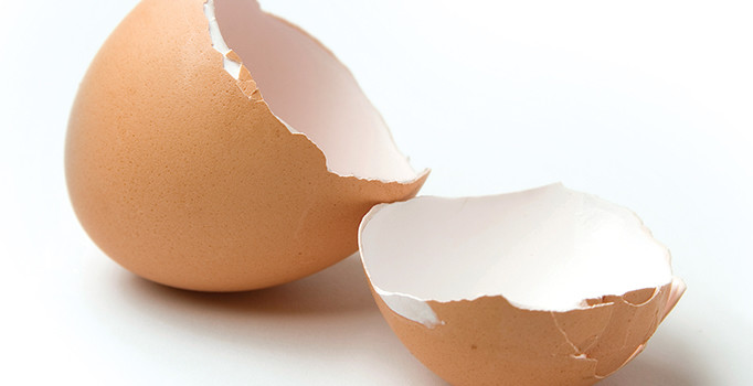 Türk profesörlerinin yaptığı çalışma sonucu yumurta kabuğunun zarı kireçlenme ağrılarını gideriyor