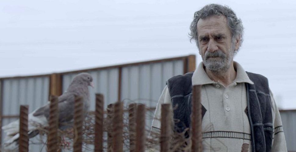 İBB'den 1 Mayıs'a özel film gösterimi: Babamın Kanatları erişime açılıyor