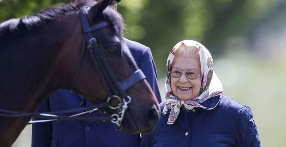 Kraliçe II. Elizabeth, korona günlerini ata binerek geçiriyor