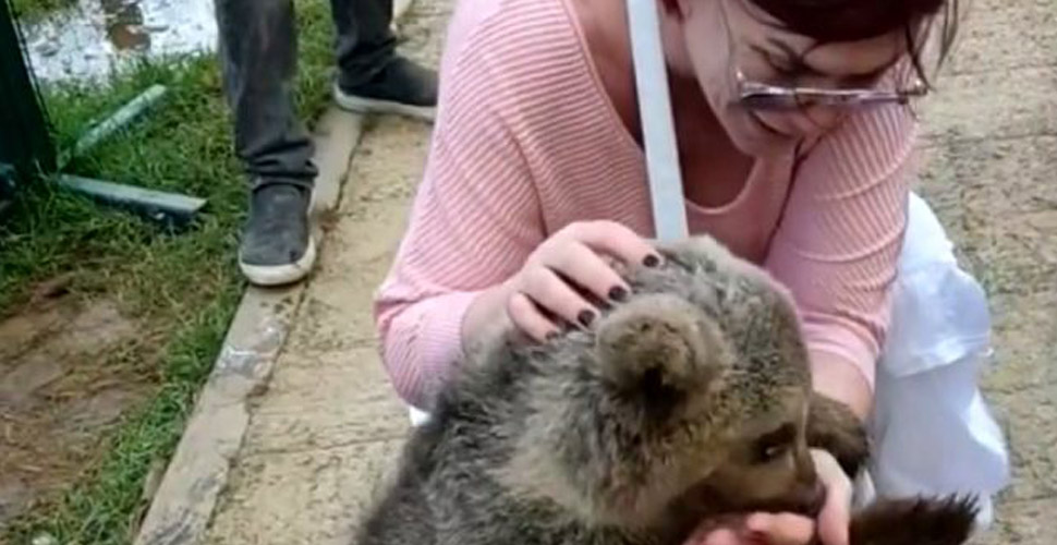 Sanatçı Emel Müftüoğlu'nu yavru ayı ısırdı