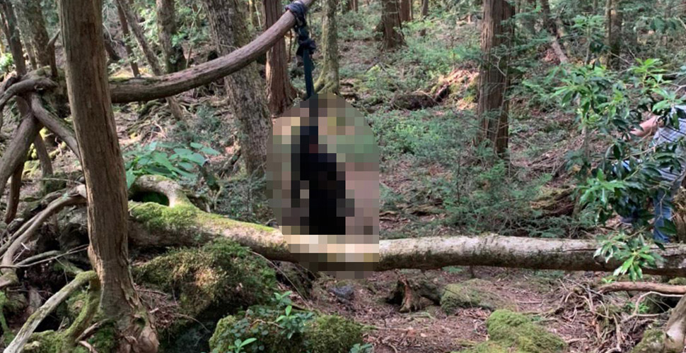 Japonya’daki intihar ormanında intihar