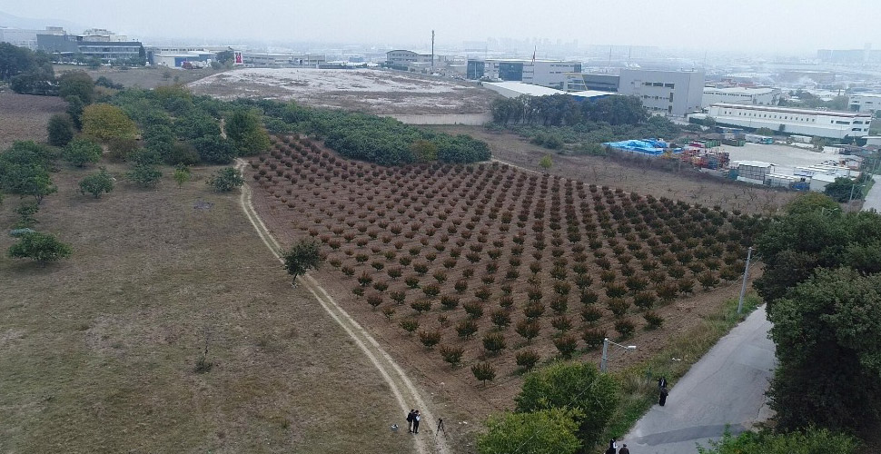 TOKİ’nin arsaları açık artırma ile satışa çıkıyor