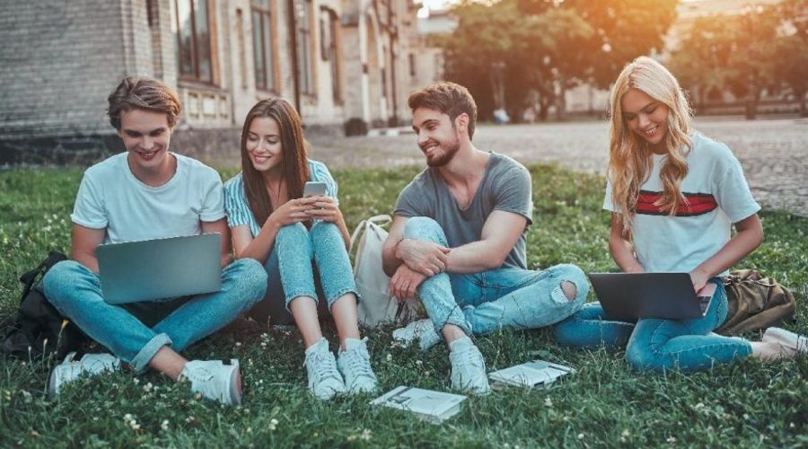 İŞKUR SÇP program no nedir? Sosyal Çalışma Programı program no sorgulama sayfası