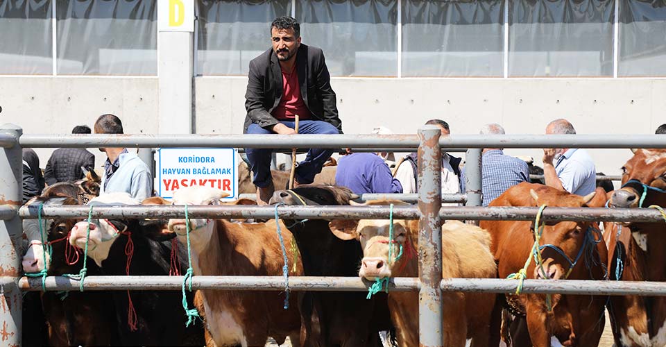 Mezbahalara 'Kovid-19' ayarı: Bir kurban için sadece bir kişi gelsin!