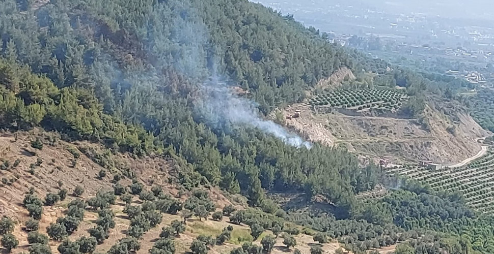 Hatay'da çıkan orman yangını kontrol altına alındı