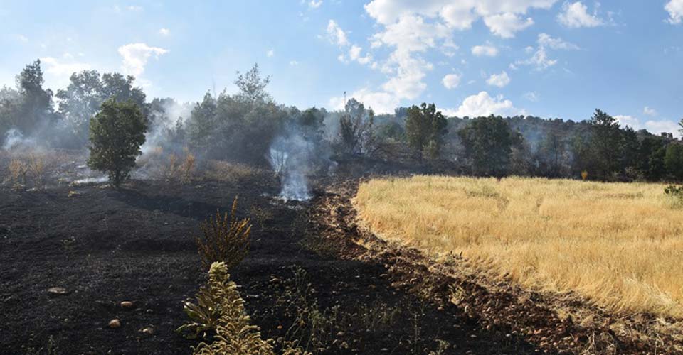 Otluk alandaki yangın 7 saatte söndürüldü!