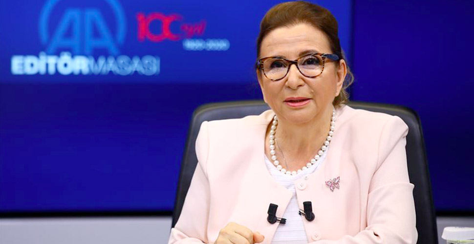 Bakan Pekcan: Mevcut Gümrük Birliği Anlaşması yetersiz