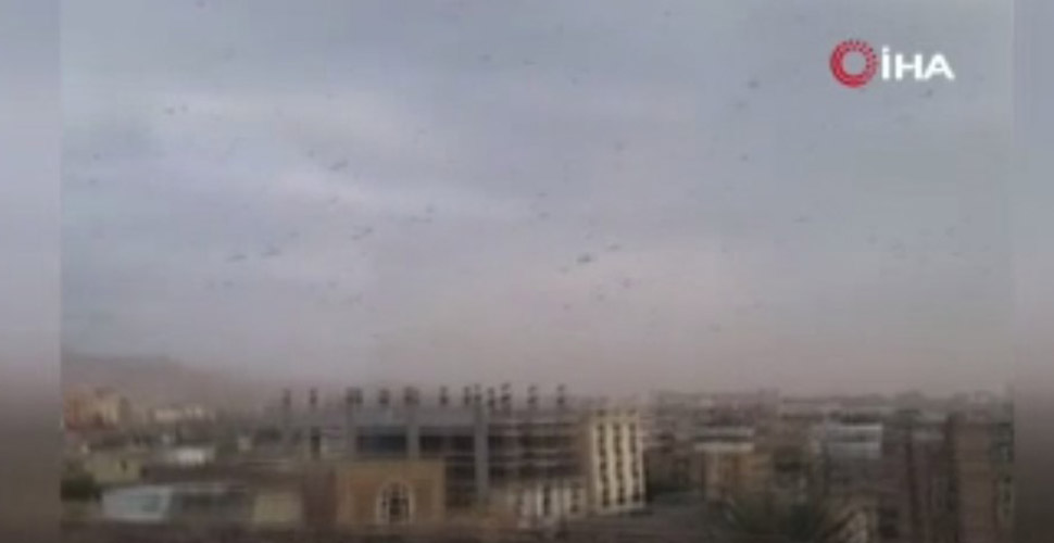Yemen'de çekirge istilası