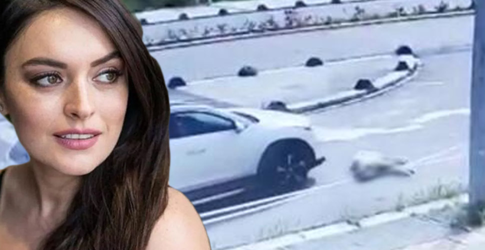 Ezgi Mola'dan köpek ezen doçente sert sözler: Onun da aynı şekilde ölmesini diliyorum