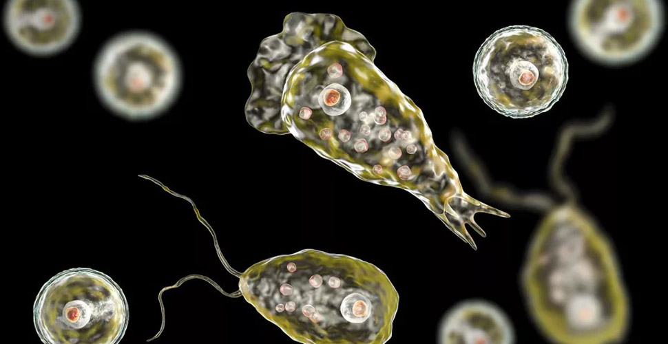 Bulaştığı insanı 1 haftada öldürüyor! ABD'de 'beyin yiyen amip' vakası