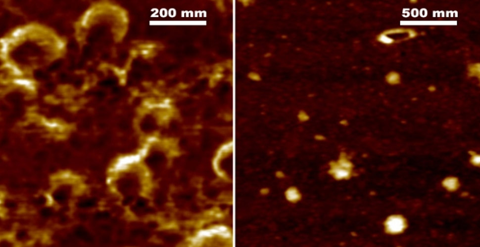 ODTÜ'lü bilim insanlarından 3 boyutlu Kovid-19 görüntüsü